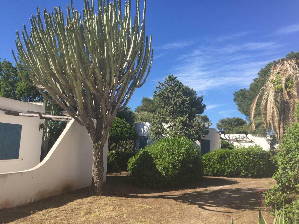 Residenza Gherly Capo Vaticano Buitenkant foto